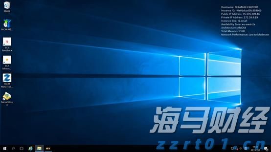 广东湛江：中华白海豚种群稳定 生态保护显成效