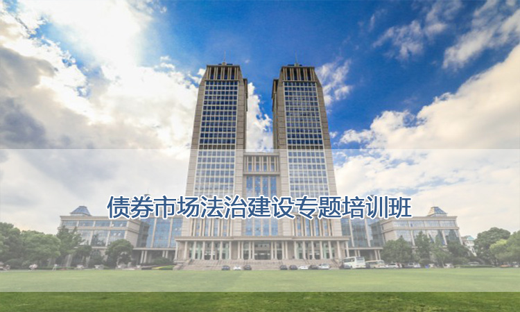 湖光镇医疗帮扶促振兴