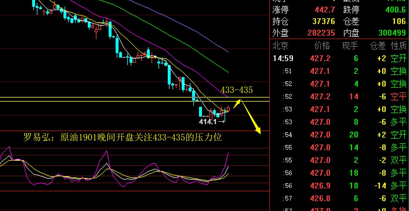 跑出经济发展加速度——访港南区委副书记、常务副区长张慧红